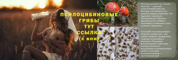 индика Алексеевка