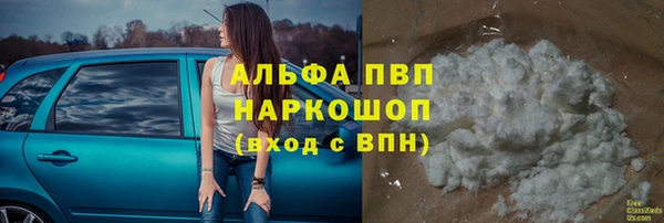 скорость Новозыбков