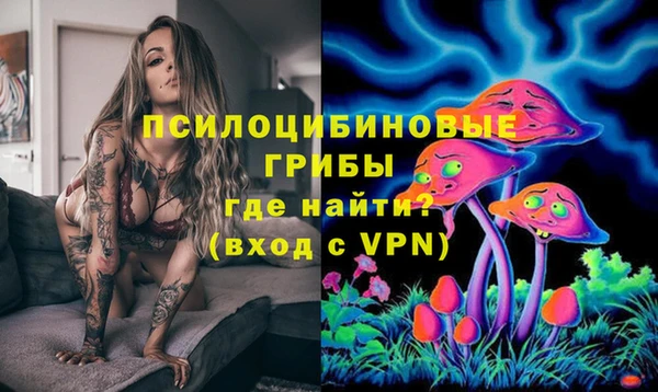 индика Алексеевка
