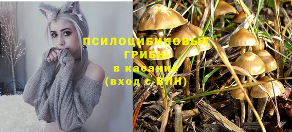 индика Алексеевка