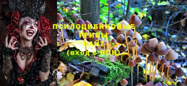 MDMA Алексин