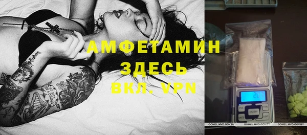 индика Алексеевка