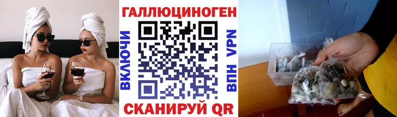 Галлюциногенные грибы мицелий  блэк спрут сайт  Мирный  где продают наркотики 